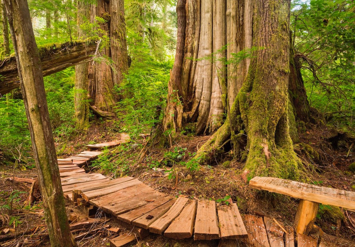 Emerald Loop Trail